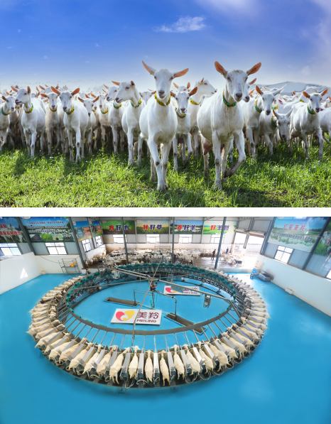 jxf吉祥坊(中国)官方网站