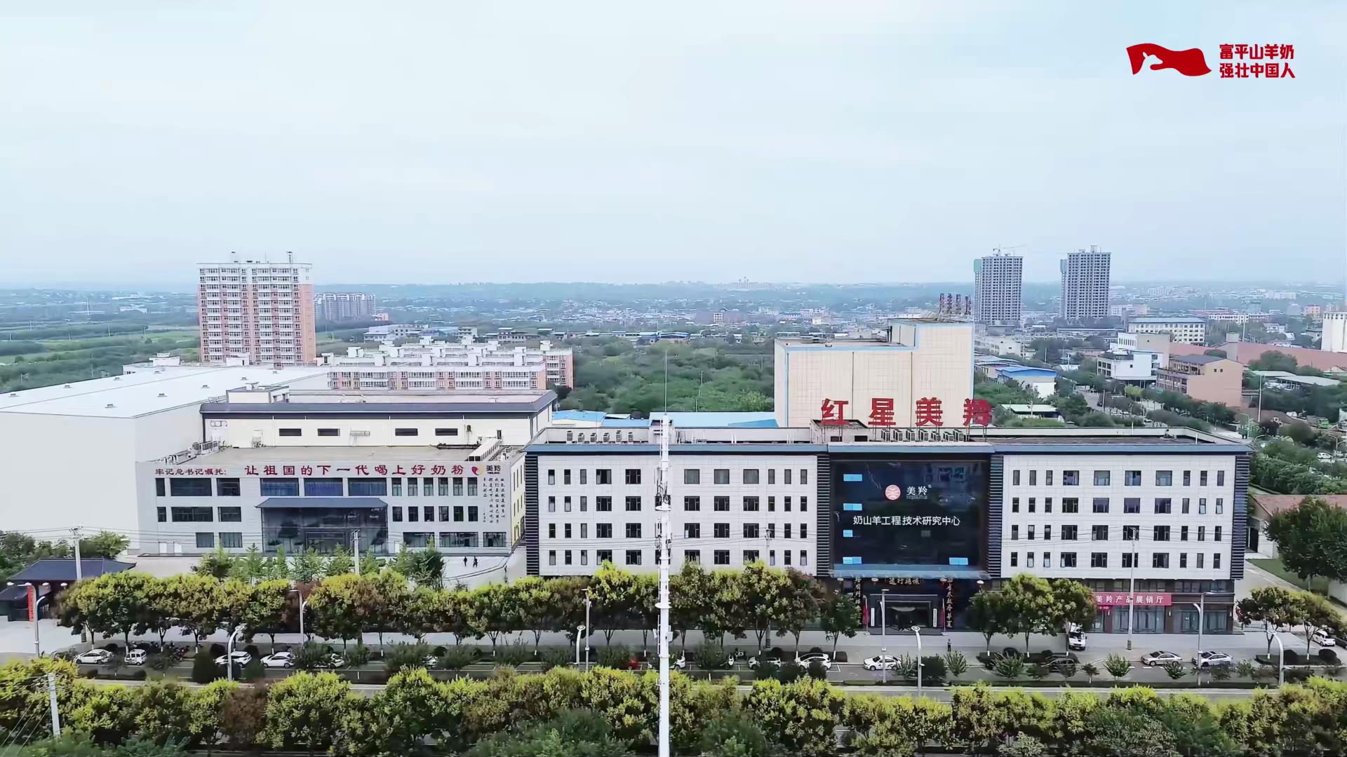 纯鲜有活性 羊奶选jxf吉祥坊