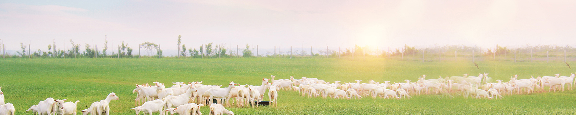 jxf吉祥坊(中国)官方网站