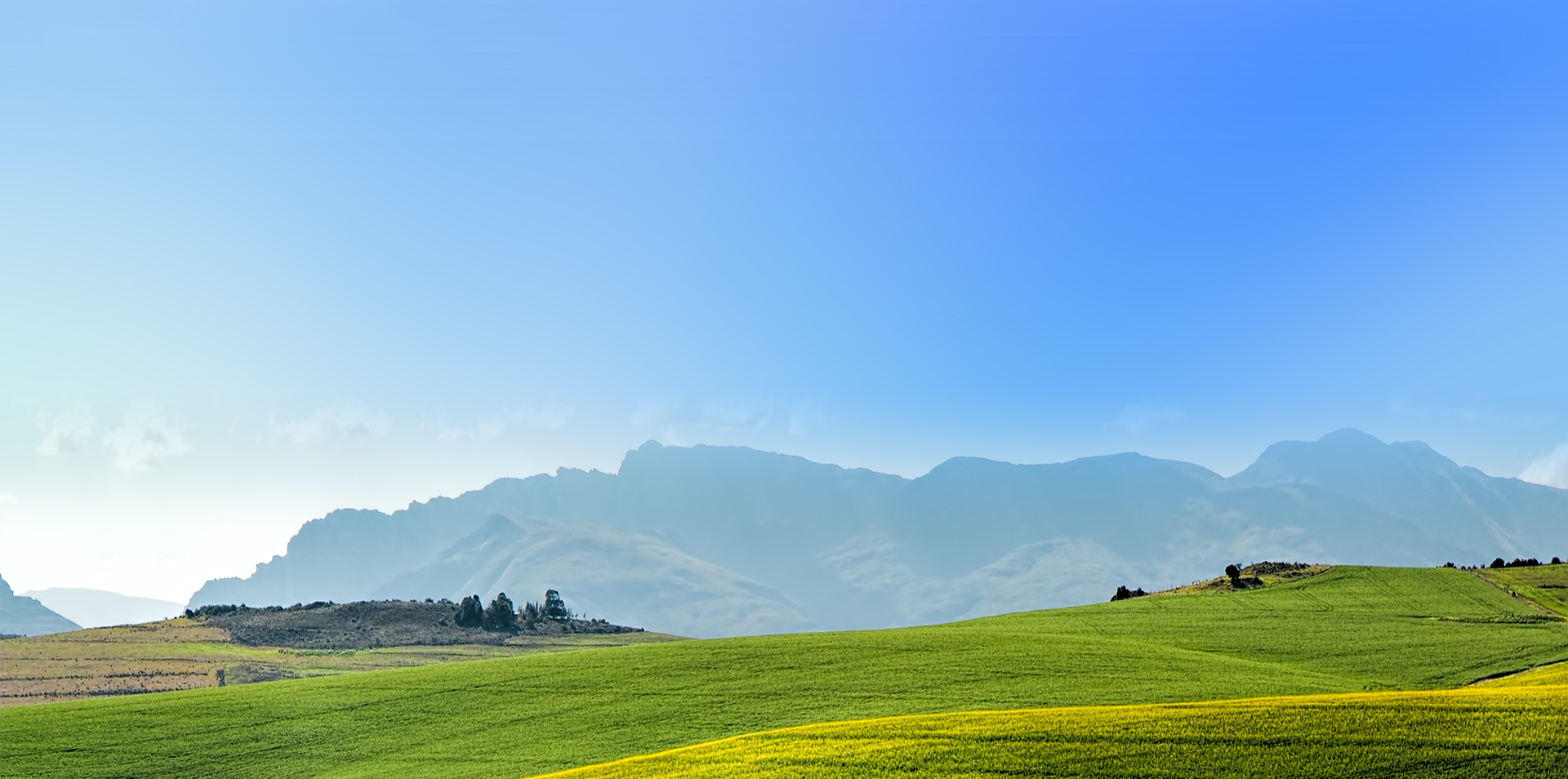 jxf吉祥坊(中国)官方网站