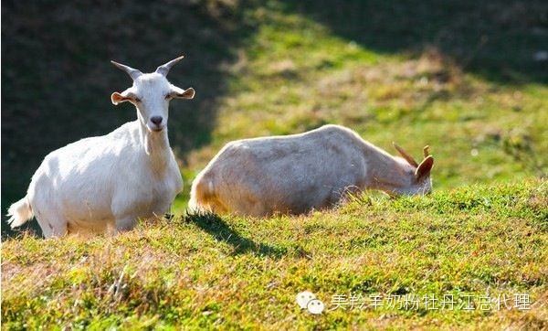 jxf吉祥坊(中国)官方网站