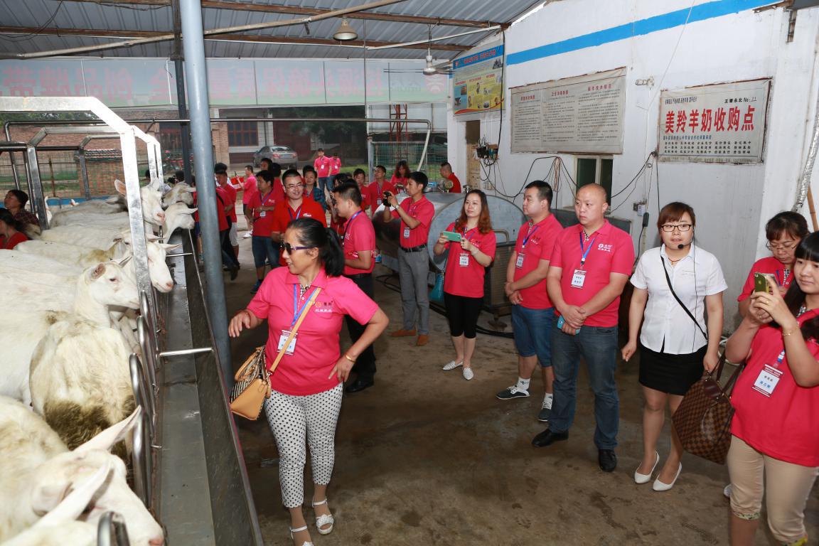 jxf吉祥坊(中国)官方网站