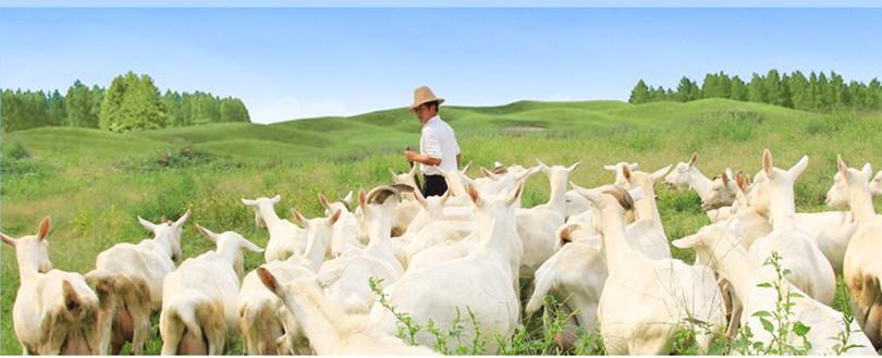 jxf吉祥坊(中国)官方网站