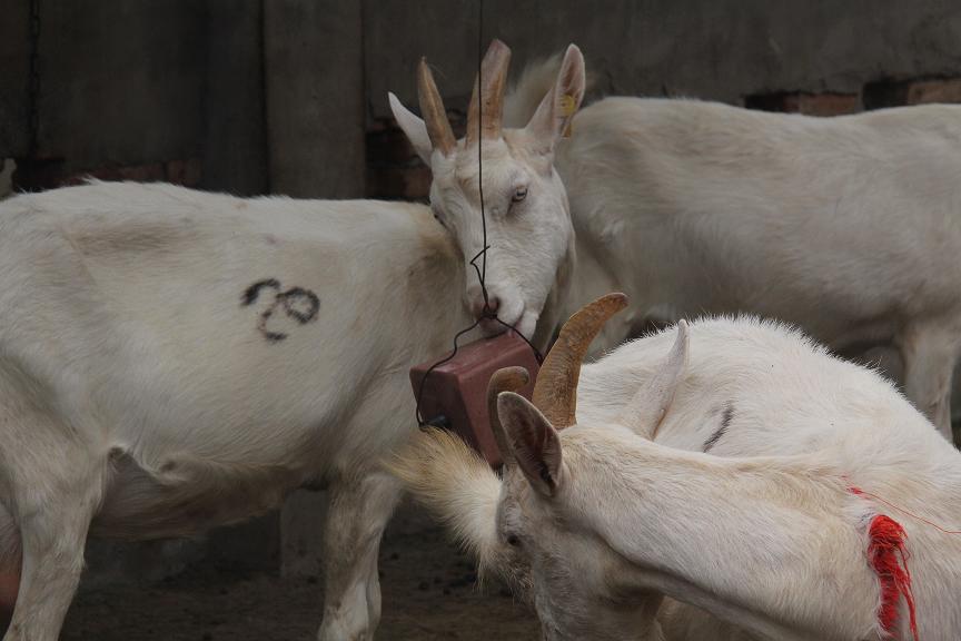 jxf吉祥坊(中国)官方网站
