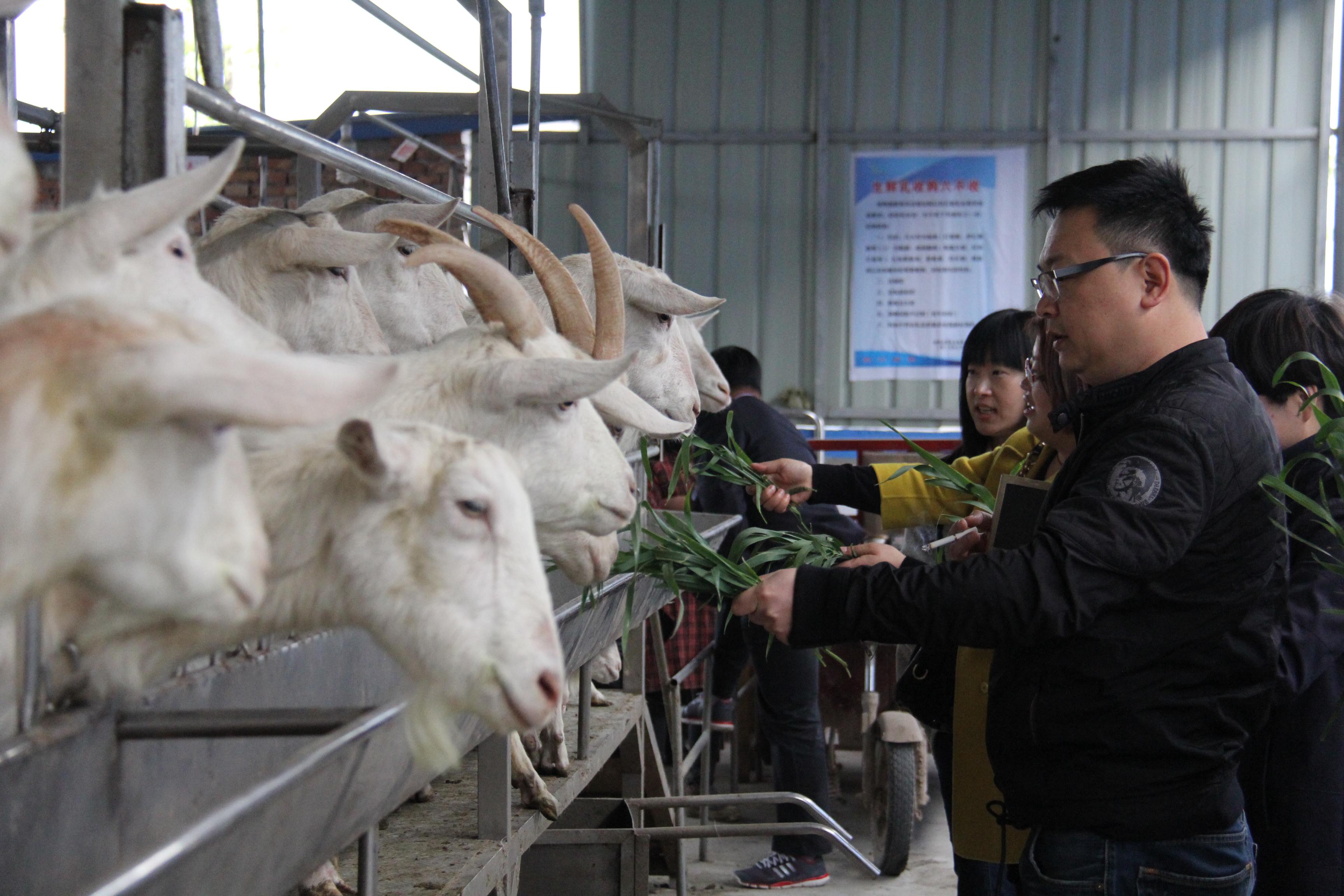 jxf吉祥坊(中国)官方网站