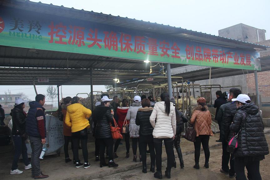 jxf吉祥坊(中国)官方网站