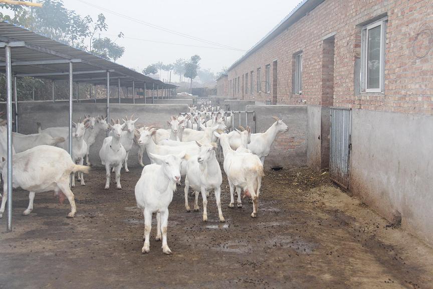 jxf吉祥坊(中国)官方网站