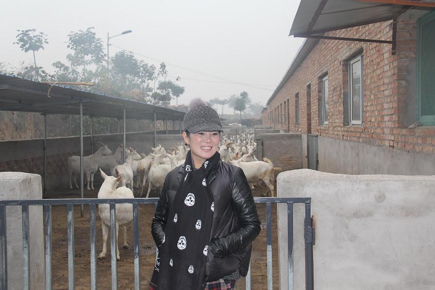 jxf吉祥坊(中国)官方网站