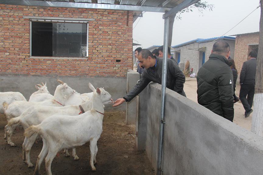 jxf吉祥坊(中国)官方网站