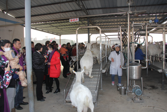 jxf吉祥坊(中国)官方网站