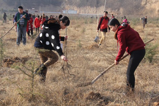 jxf吉祥坊(中国)官方网站