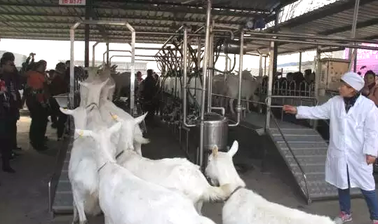 jxf吉祥坊(中国)官方网站