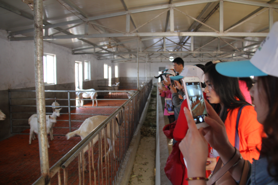 jxf吉祥坊(中国)官方网站