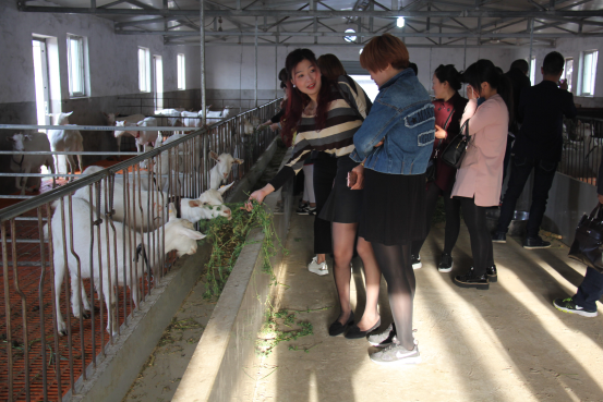 jxf吉祥坊(中国)官方网站