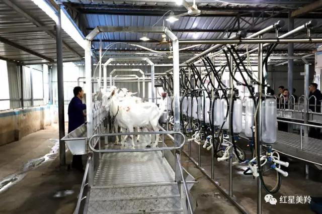 jxf吉祥坊(中国)官方网站