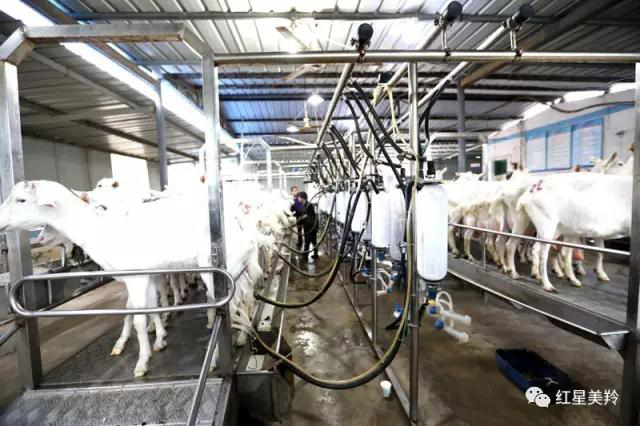 jxf吉祥坊(中国)官方网站