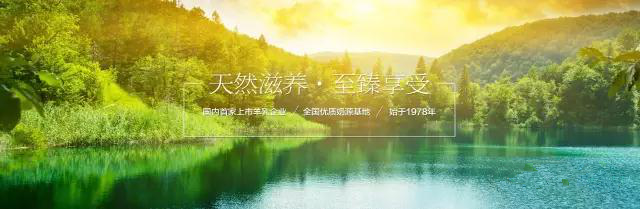 jxf吉祥坊(中国)官方网站