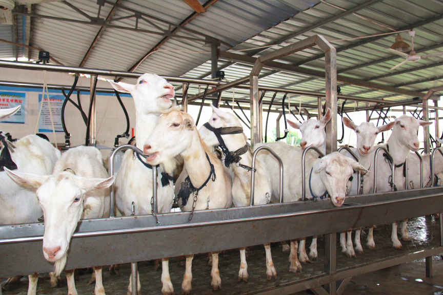 jxf吉祥坊(中国)官方网站