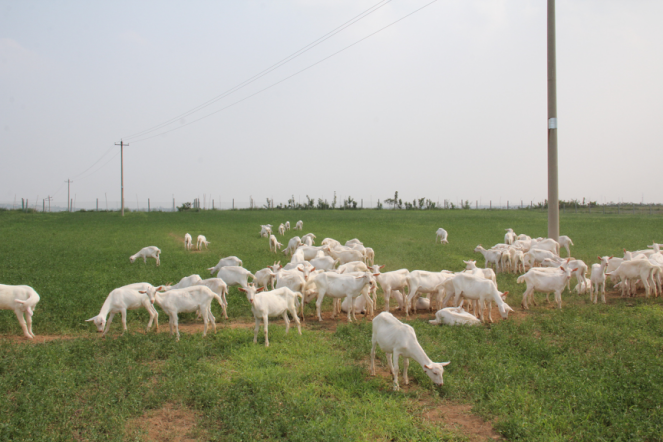 jxf吉祥坊(中国)官方网站