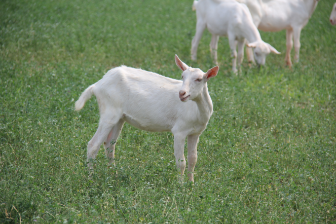 jxf吉祥坊(中国)官方网站