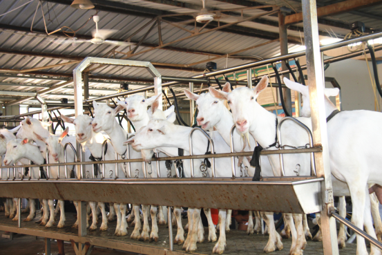 jxf吉祥坊(中国)官方网站