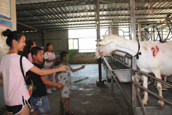 jxf吉祥坊(中国)官方网站