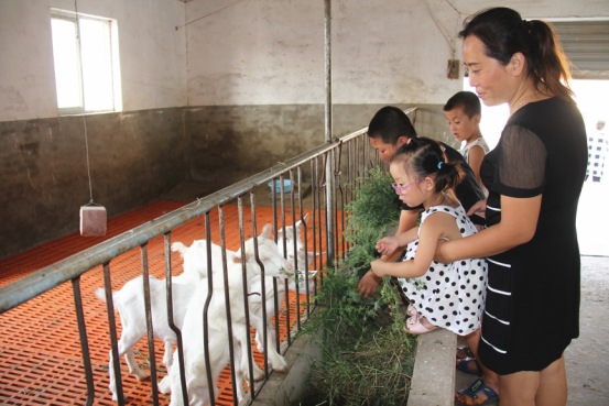 jxf吉祥坊(中国)官方网站