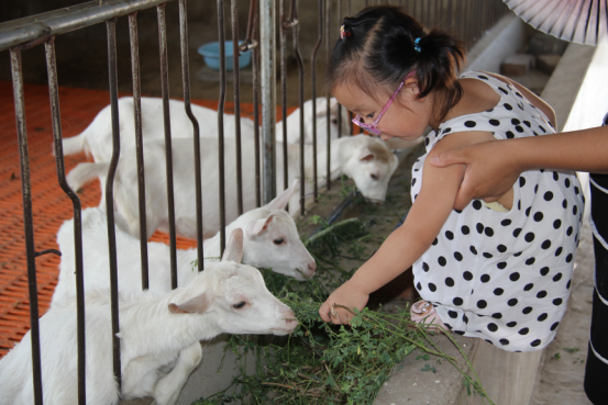 jxf吉祥坊(中国)官方网站