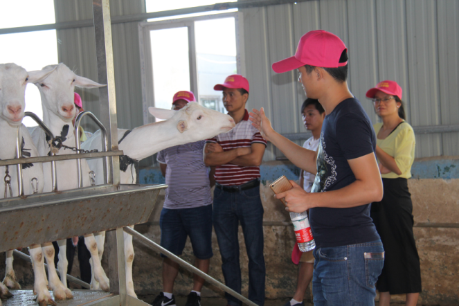 jxf吉祥坊(中国)官方网站