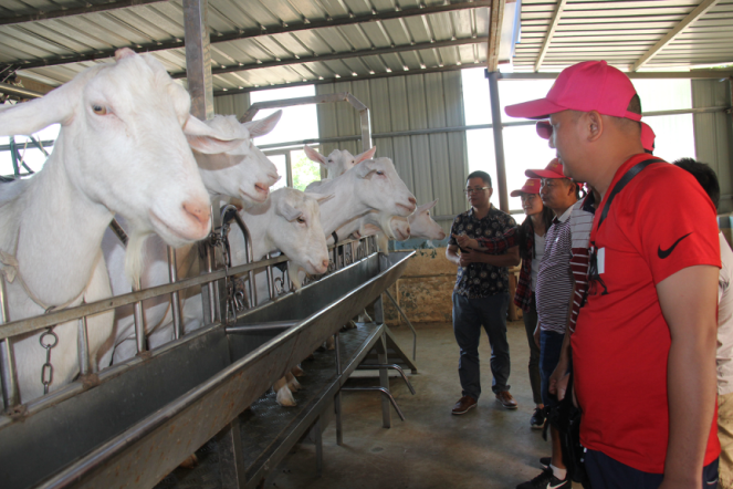 jxf吉祥坊(中国)官方网站