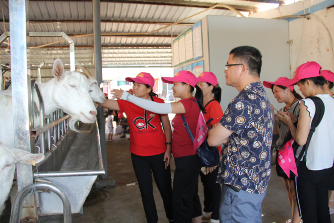 jxf吉祥坊(中国)官方网站