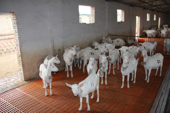 jxf吉祥坊(中国)官方网站