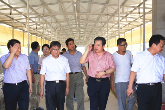 jxf吉祥坊(中国)官方网站