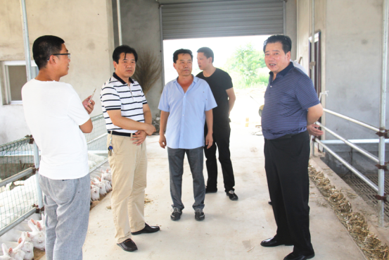 jxf吉祥坊(中国)官方网站