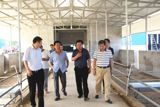 jxf吉祥坊(中国)官方网站