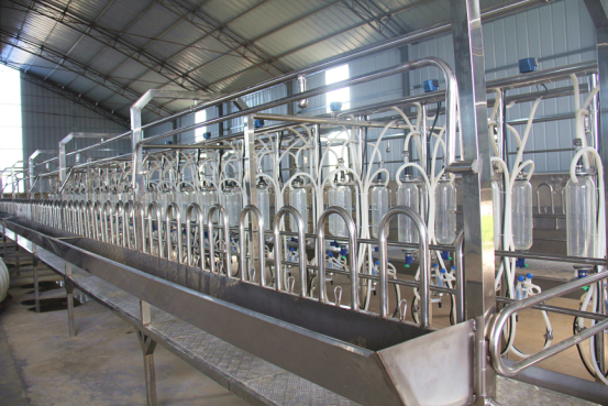 jxf吉祥坊(中国)官方网站