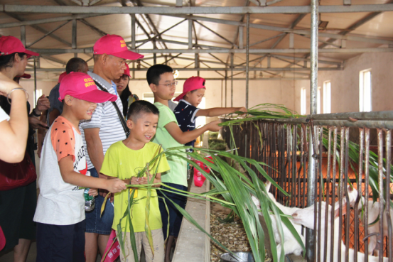 jxf吉祥坊(中国)官方网站