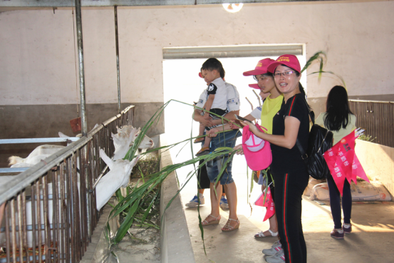 jxf吉祥坊(中国)官方网站