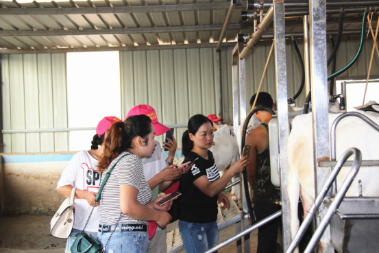 jxf吉祥坊(中国)官方网站