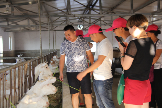 jxf吉祥坊(中国)官方网站