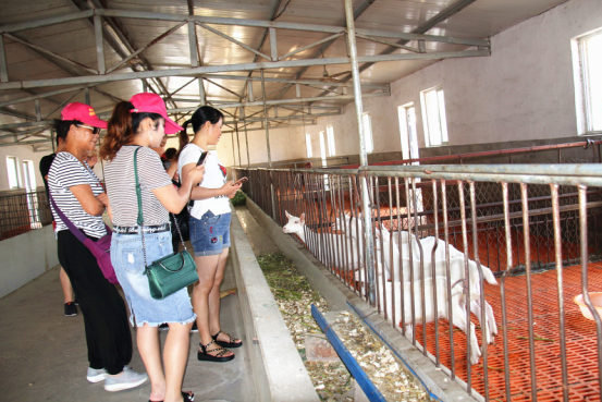 jxf吉祥坊(中国)官方网站