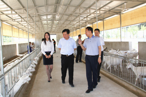 jxf吉祥坊(中国)官方网站