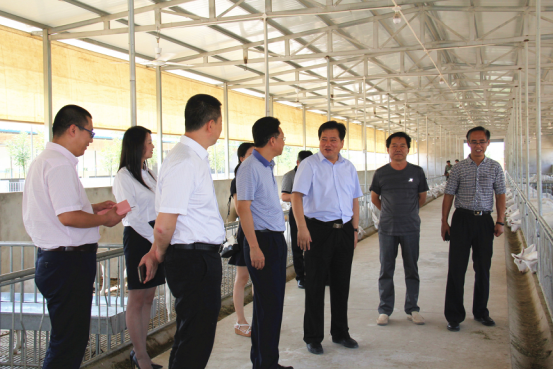 jxf吉祥坊(中国)官方网站