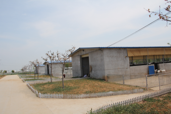 jxf吉祥坊(中国)官方网站