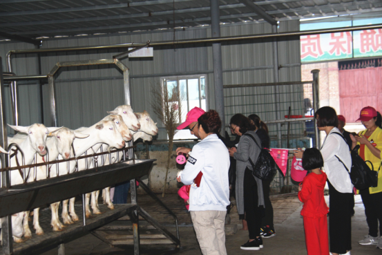 jxf吉祥坊(中国)官方网站