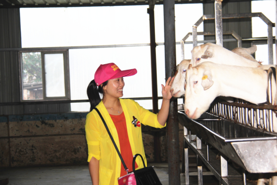 jxf吉祥坊(中国)官方网站