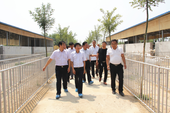 jxf吉祥坊(中国)官方网站