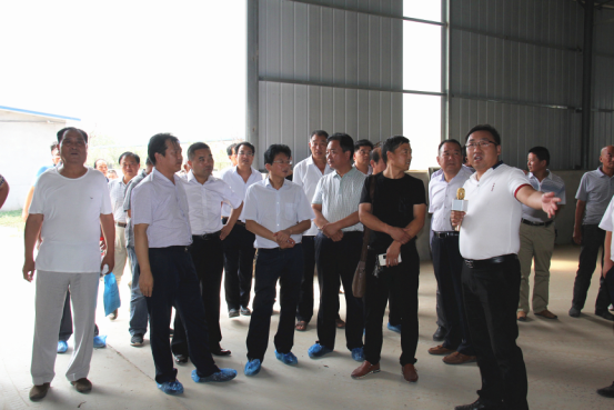 jxf吉祥坊(中国)官方网站