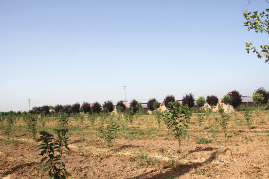 jxf吉祥坊(中国)官方网站