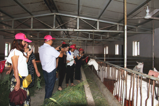 jxf吉祥坊(中国)官方网站